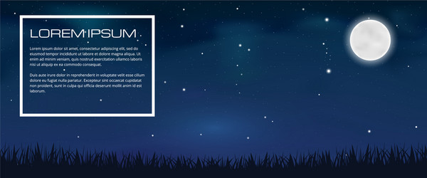 Night sky Royalty Free Vector Image - VectorStock