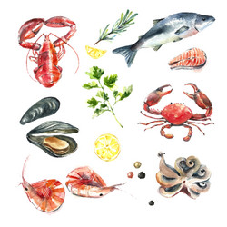 Seafood Watercolor Set Vector Image