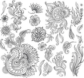 set decorative floral elements for design vector