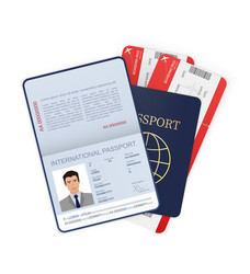 3d card international passport in flat style vector