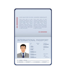 3d card international passport in flat style vector