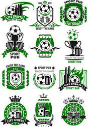 Sports Pub Football Icons Vector Image