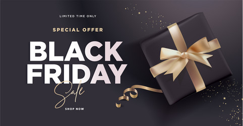 black friday sale banner vector