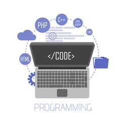 Coding & Website Development vector image