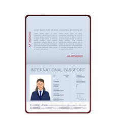 3d card international passport in flat style vector