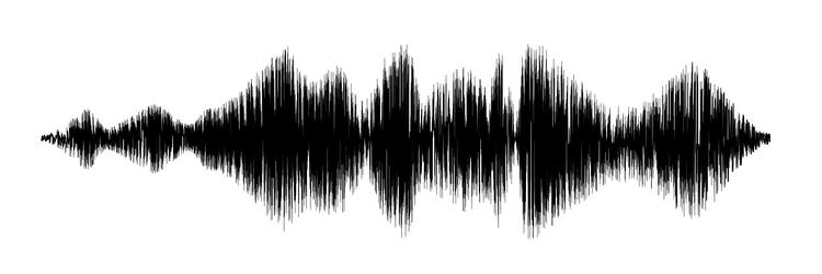 real sound wave pattern audio waveform for radio vector image