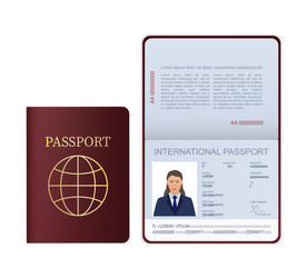 3d card international passport in flat style vector