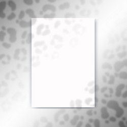 mock up of empty paper blank reflected cheetah vector