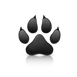 black animal paw print isolated on white vector