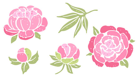 Elegant Peony Flower Set Vector Image