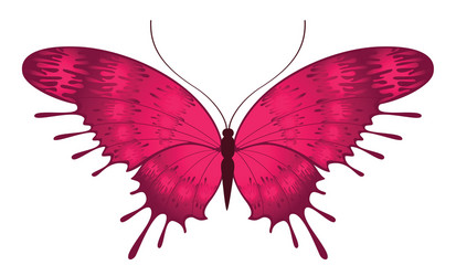 butterfly vector