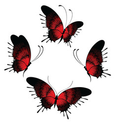 butterfly vector