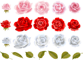Love and roses design elements Royalty Free Vector Image