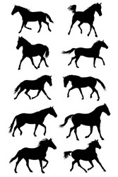Black Horse Silhouettes - Trotting Vector Image