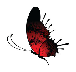 Butterfly vector