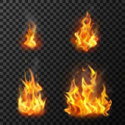 Fire flames set Royalty Free Vector Image - VectorStock