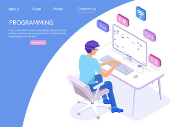 programmer isometric character programming vector image