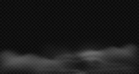 spooky smoke fog background with cloud-like steam vector image