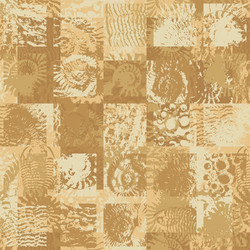 Ancient Fossil Stone Pattern vector image