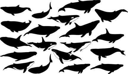 blue wheel silhouette for stock Vector Image