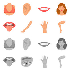 isolated object body and part symbol set vector image