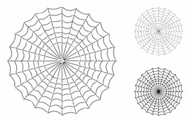 spider web mesh network model and triangle vector image