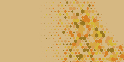 geometric multi size hexagon with color vector