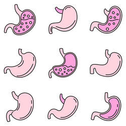 Human stomach icons set color vector