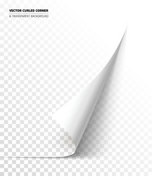 Curled page paper turning corner Royalty Free Vector Image