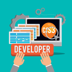 developer web responsive design vector image