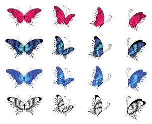 Butterfly vector