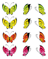 Butterfly vector