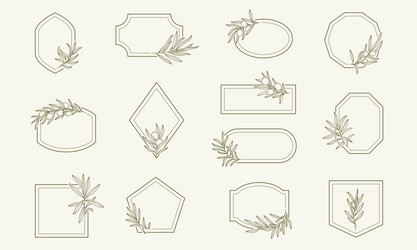 frames set with olive branches in minimal linear vector image