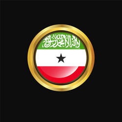 Somaliland flag golden button vector