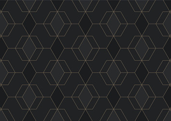 abstract geometric pattern with lines on dark vector image