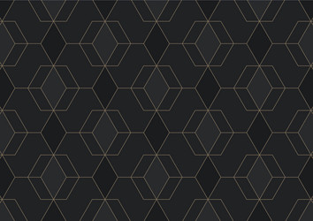 Abstract geometric pattern with lines on dark vector