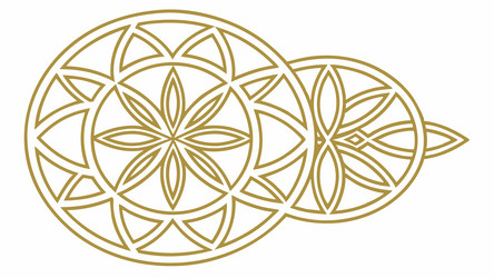 star pattern within circular geometry abstract vector image