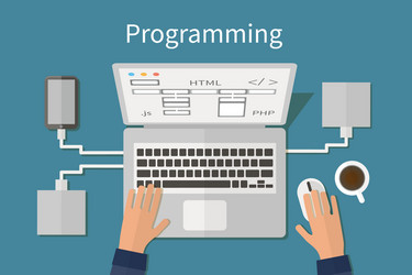 programming and coding website deveopment web vector image