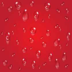 bright red transparent water drops vector