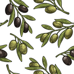 Seamless pattern olives on branch with leaves vector