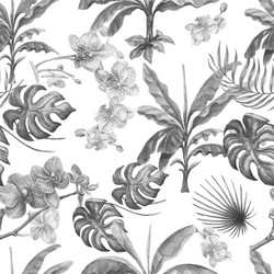 Tropical monstera orchid leaves palm flowers vector