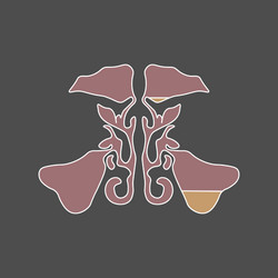 Flat style maxillary sinus sinusitis vector