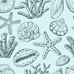 seamless pattern with shells coral and starfish vector