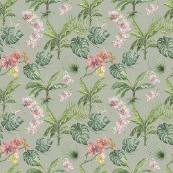 Tropical monstera orchid leaves palm flowers vector