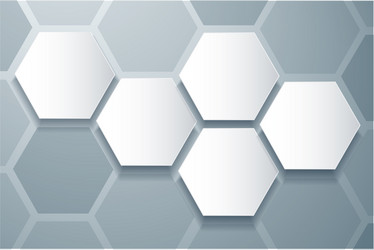 abstract bee hive hexagon and space background vector image