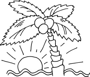 palm tree on the ocean at sunset sketch drawing vector image