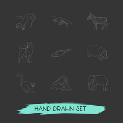 Set of zoo icons line style symbols with hippo vector