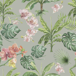 Tropical monstera orchid leaves palm flowers pate vector