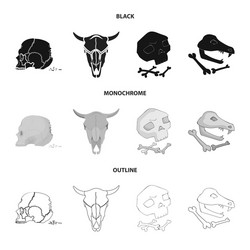 Isolated object skeleton and character sign vector