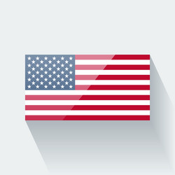United States Flag Icon Vector Image